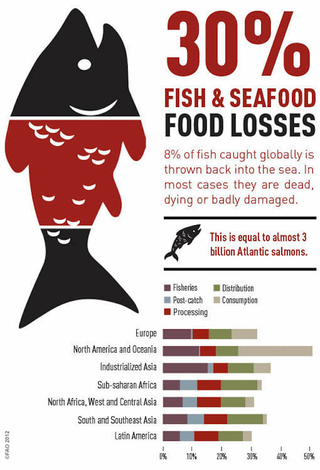 Illustration for article titled These Charts Show Which Foods Are Most Likely To Be Wasted